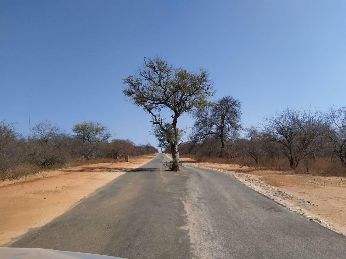 Ukuthula Bush Lodge Hoedspruit Exterior foto